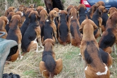 DSC03588_Custom