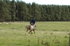 P1010132