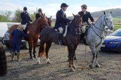 DSC01020_Custom