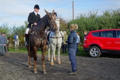 DSC01029_Custom