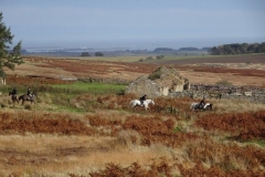 P1020501v