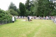 percy puppy show 2010