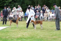 p1020781