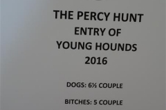 percy puppy show day - 30 july 2016