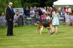 DSC08756_Custom
