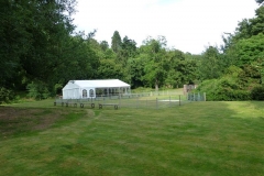 percy puppy show july 2013