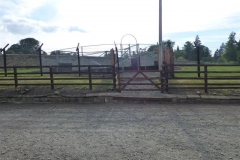 P1000691_Custom