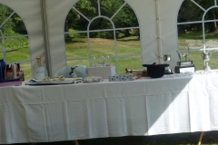 P1000765_Custom