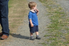 P1000864_Custom