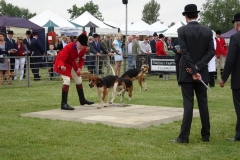DSC08984_Custom
