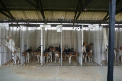 peterborough wednesday 17 july 2019