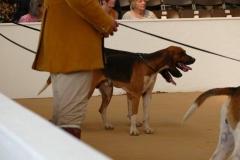 P1000842