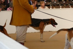 P1000843