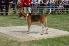 P1000905