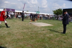P1000906