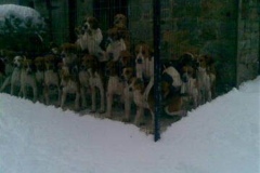 am_snow