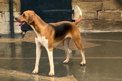 image20