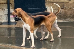 image32