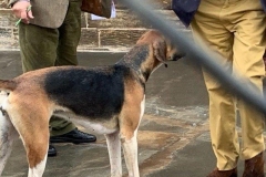 image34