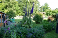 P1000576