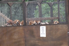 P1010363