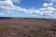 quad bike picnic ride 2013