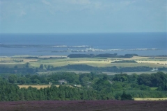 P1000949_Custom