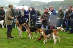roman wall show - saturday 11 june 2016