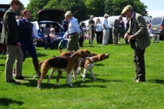 roman wall show 09 jun 18