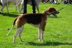 DSC06218