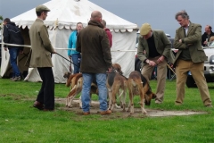roman wall show 13 june 2015