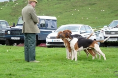 roman wall show 2012