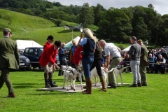 DSC01753