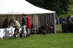 DSC01762