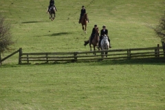DSC06078