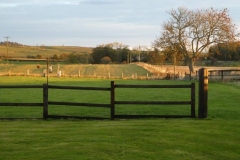 P1000645_2