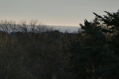 P1000705_2