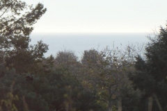 P1000712_2