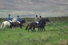 DSC09923_Custom