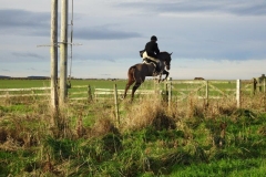 DSC03006