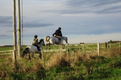 DSC03012