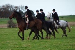 DSC03019