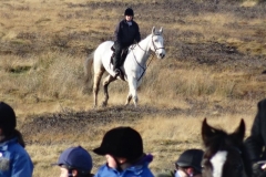 DSC00478_Custom
