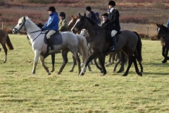 DSC00480_Custom