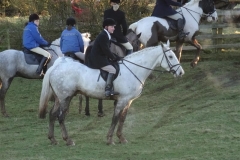 DSC00522_Custom