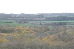 P1010556