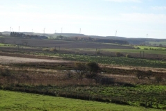 DSC02012