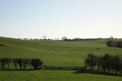 DSC02014