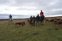 saturday 15 march 2014 to end the season