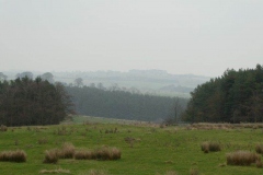 P1030216